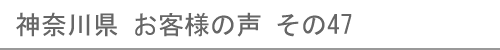 現在閲覧しているページ