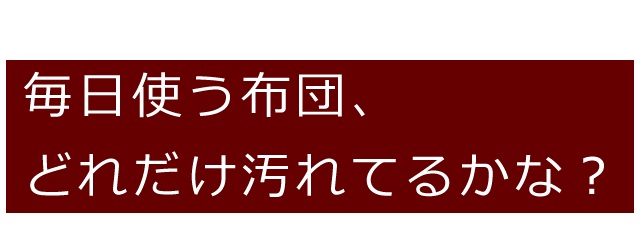 毎日使う布団は、どのくらい汚れているか解説