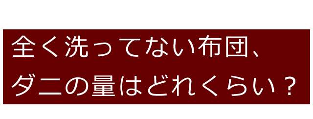 布団の中に潜んでいるダニの数について解説