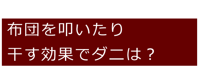 ダニ退治に、布団を干したり、叩く対処について