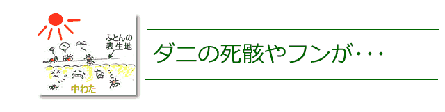 布団を叩くと、ダニの死骸やフンで不衛生になります。