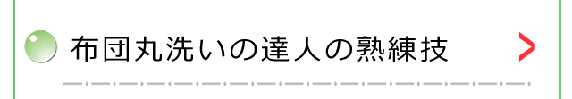 布団丸洗いの達人の熟練技