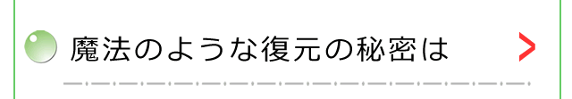 魔法のような復元の秘密は