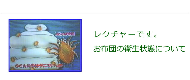 お布団の衛生状態についての解説