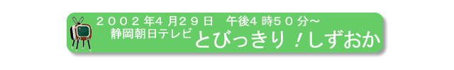 2002年4月29日、静岡朝日テレビ、『とびっきり！しずおか』