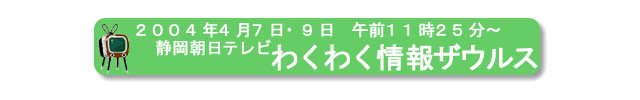 2004年4月7日、静岡朝日テレビ、『わくわく情報ザウルス』