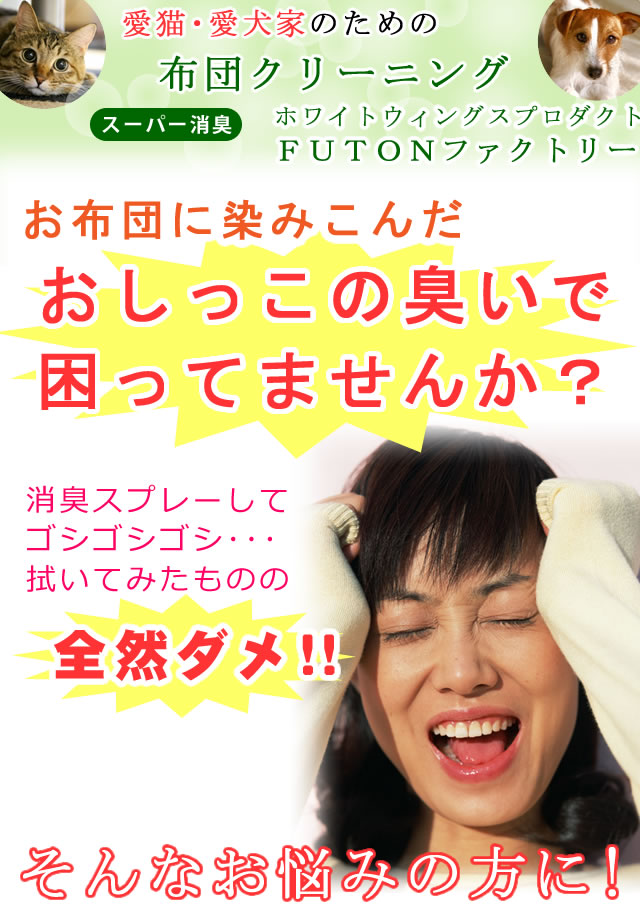 猫や犬など、ペットの粗相の臭いと汚れを消す布団クリーニング。仕上げは最短３日、自宅まで集配ＯＫ