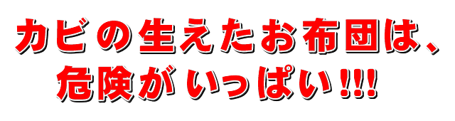 カビの布団の危険性