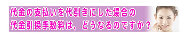 質問の内容：代引手数料は、追加で払うのですか？