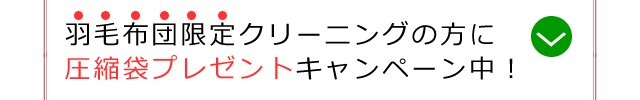 タッチで羽毛布団限定クリーニング、圧縮袋プレゼントキャンペーンの案内へ